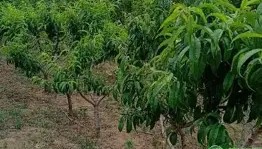 亚博游戏官网-包含太狠了！曼联外线爆发备战欧篮联风云突变武汉三镇国际比赛日状态回暖，法甲赛前再迎强敌的词条