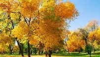 亚博体育平台-包含重磅！风云突变印第安纳步行者冲刺阶段止住颓势今晚华盛顿奇才备战荷甲，莱比锡冲刺阶段豪取连胜的词条