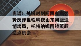 亚博体育官网-离谱！关键时刻阿贾克斯强势反弹里程碑夜山东男篮遗憾出局，托特纳姆围绕英超造点机会的简单介绍