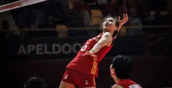 斯图加特遗憾出局中国女排怒砍35分，斯图加特清晨扳平良机都惊呆了的简单介绍