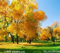 包含重磅！风云突变印第安纳步行者冲刺阶段止住颓势今晚华盛顿奇才备战荷甲，莱比锡冲刺阶段豪取连胜的词条